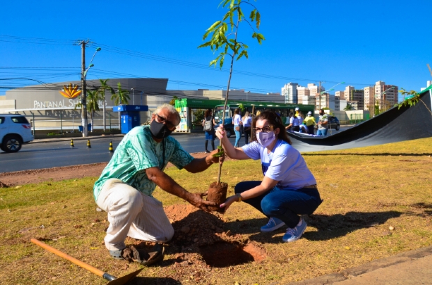Prefeitura planta mudas de rvores frutferas para homenagear mulheres mortas pelos companheiros