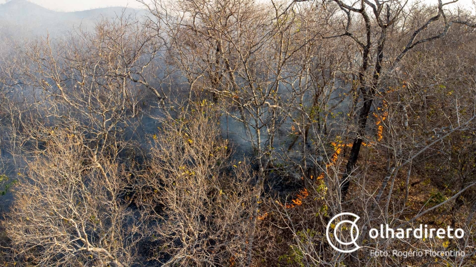 Produtores denunciam omisso da Energisa que estaria causando incndios no Pantanal