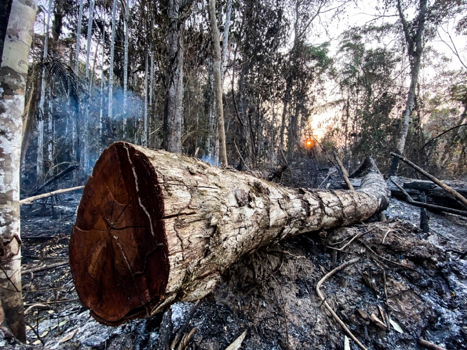 Mato Grosso registra mais da metade de focos de incndio na floresta amaznica