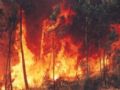 Incndio em anos anteriores no Parque Nacional de Chapada