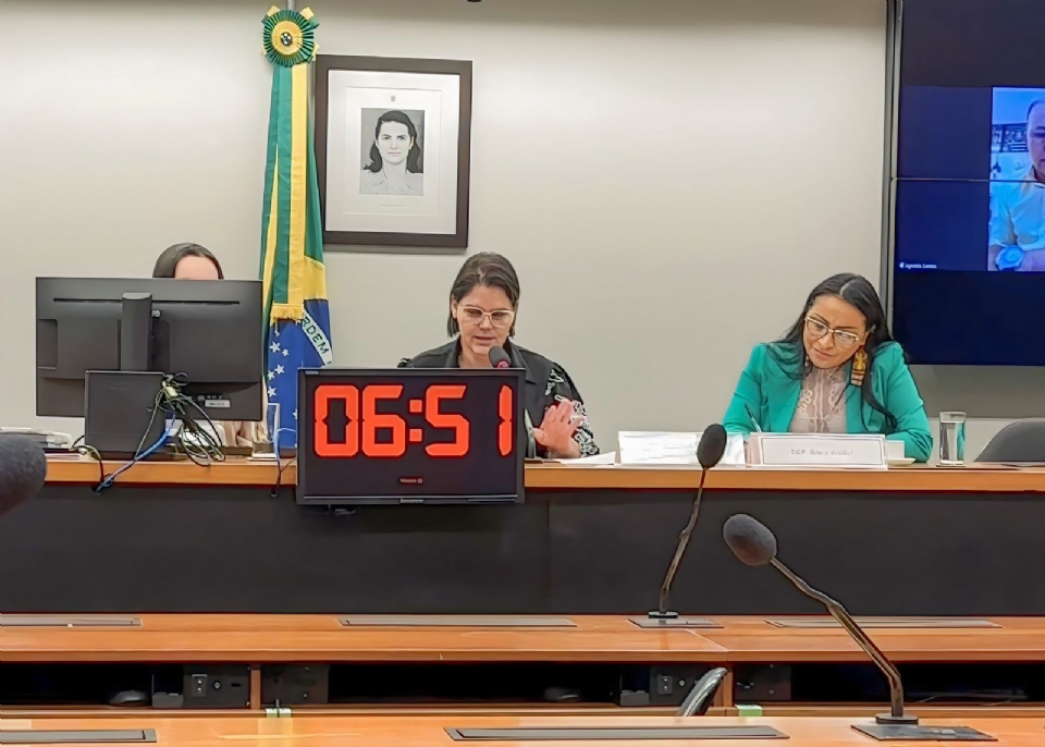 Durante audincia, prefeitos apontam inexistncia de indgenas em Vila Rica e Santa Cruz do Xingu