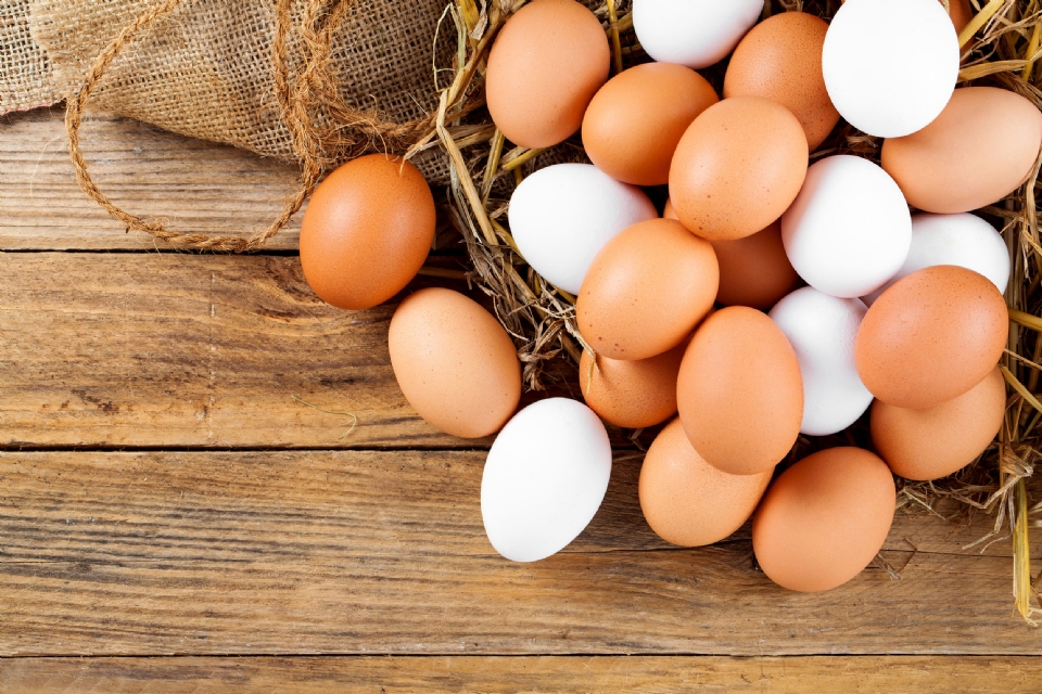 Estudo mostra que consumir mais de um ovo por dia reduz doenas; diretor do So Judas explica forma correta