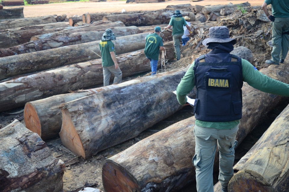 Nove municpios de MT tiveram maiores reas exploradas para extrao ilegal de madeira na Amaznia