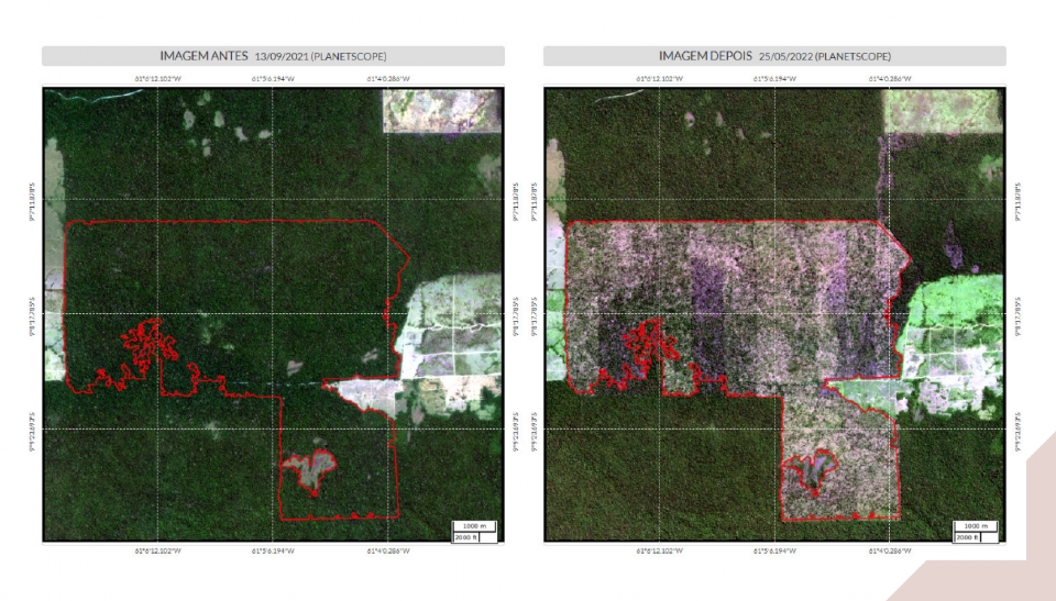 Colniza registra maior rea contnua desmatada na Amaznia em 2022