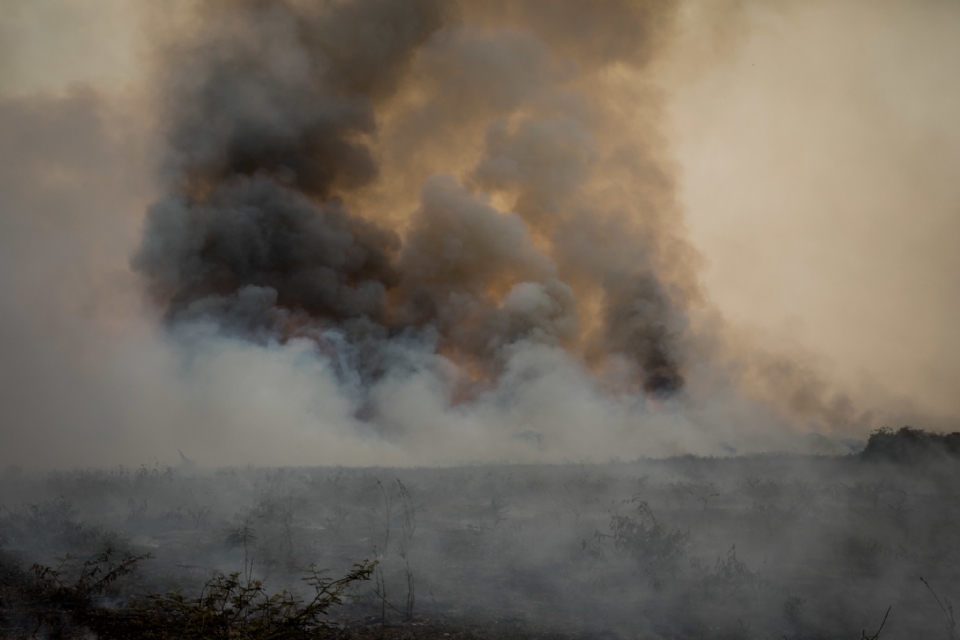 Temporal em RS acende sinal vermelho em MT que teme incndios histricos no Pantanal