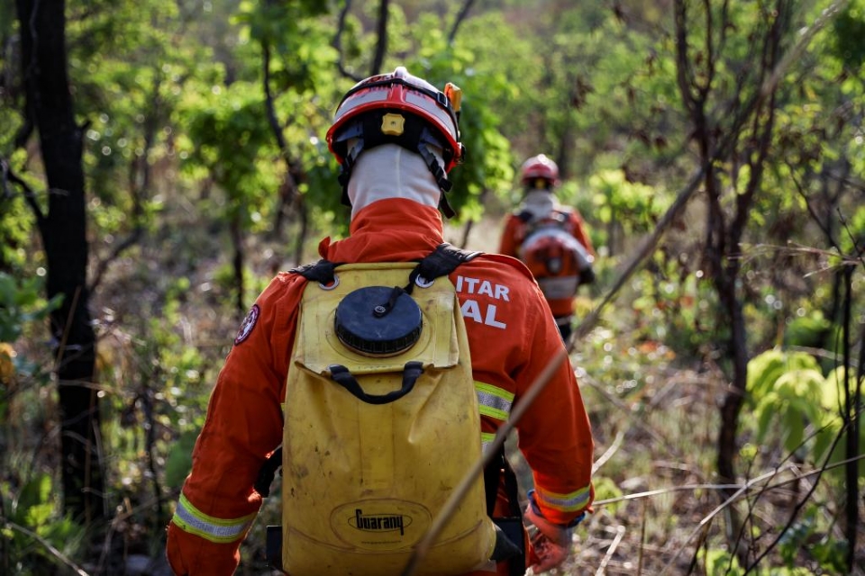Governo de MT probe uso do fogo para limpeza e manejo de reas no Pantanal at 31 de dezembro