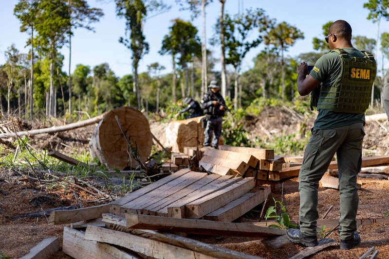 Dados mostram queda de 13,9% no desmatamento da Amaznia em Mato Grosso