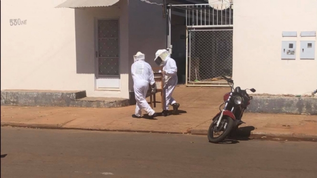 Polcia isola Centro de cidade em Mato Grosso aps ataque de enxame de abelhas