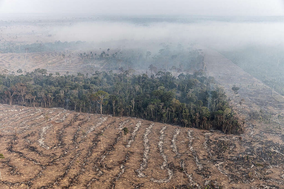Desmatamento na Amaznia Legal teve reduo de 63%; MT lidera rea com derrubada de floresta