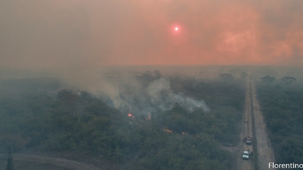 Bombeiros combatem incndio em vegetao na regio do Distrito da Guia