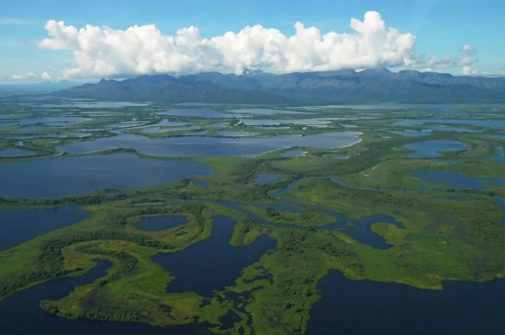Legislao especfica para o Pantanal est prevista na Constituio Federal