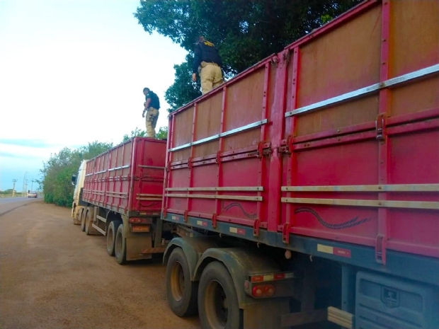 PRF apreende 113 metros cbicos de madeira ilegal e prende trs motoristas; veja fotos