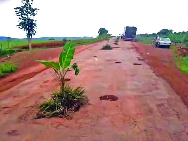Cidados protestam contra m conservao e plantam bananeira nos burracos da rodovia 163