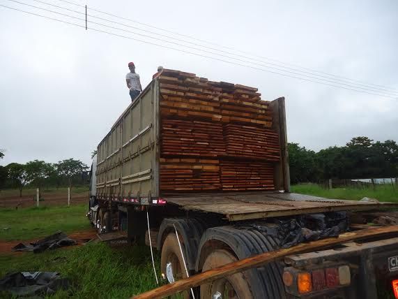 Operao Pente Fino apreende 20 caminhes com madeira ilegal no interior de MT