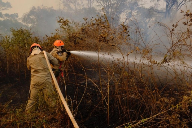 Sema destina mquinas usadas em crime ambientais para combate aos incndios no Pantanal