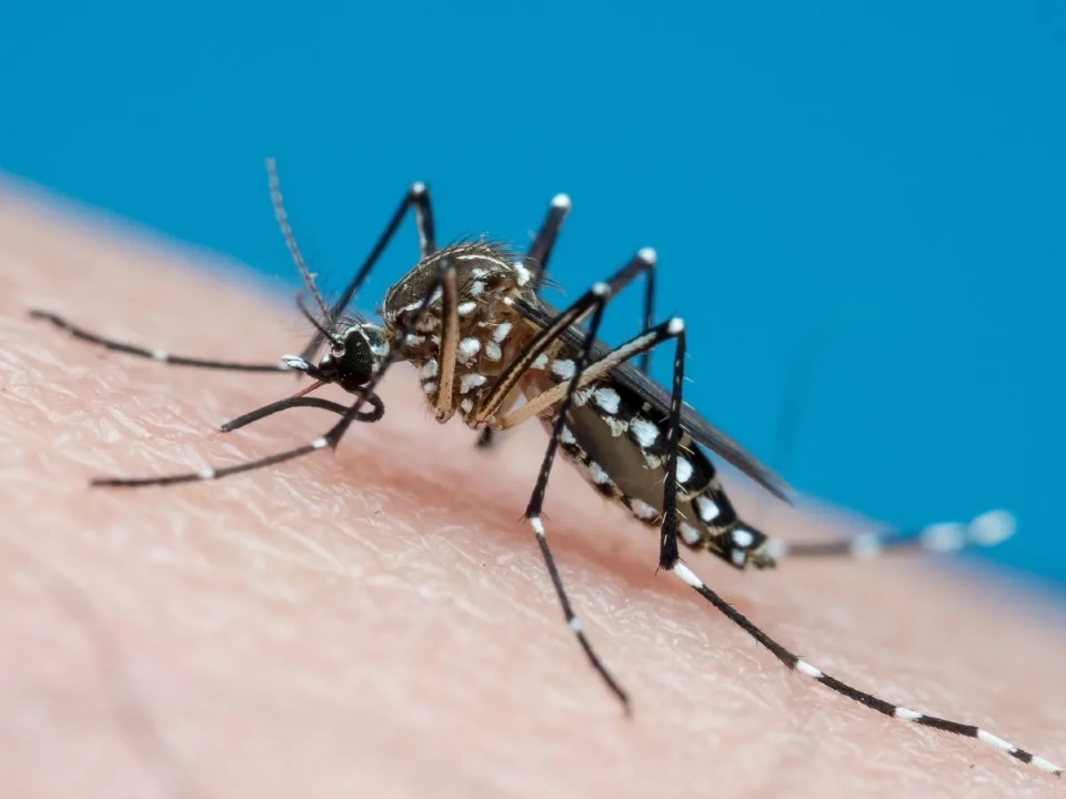 Dengue e viroses aumentam procura por Pronto-Atendimento peditrico em Cuiab
