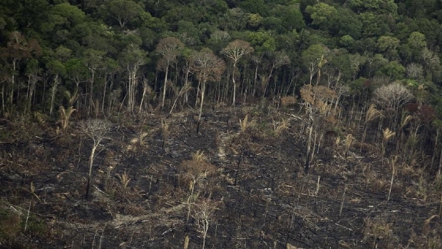 Queimadas podem transformar Floresta Amaznica de Mato Grosso em cerrado, diz pesquisador