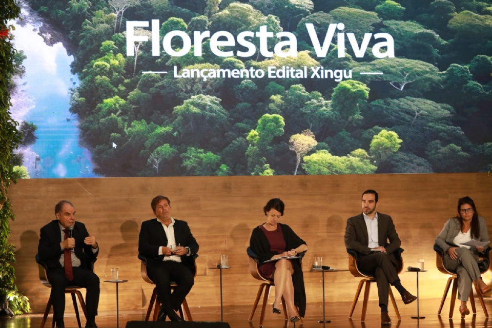 Programa Floresta Viva lana edital para apoiar restaurao ecolgica na bacia hidrogrfica do Xingu