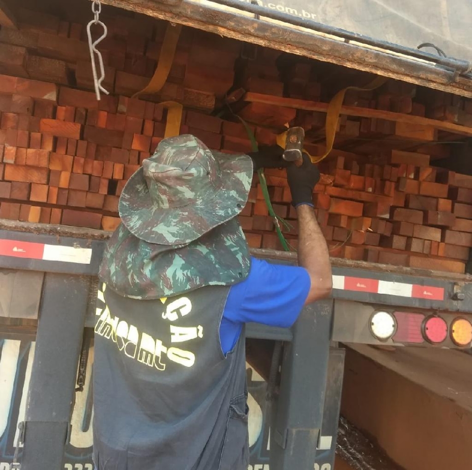 Em três anos, Instituto de Defesa Agropecuária apreendeu 342 caminhões com transporte ilegal de madeira