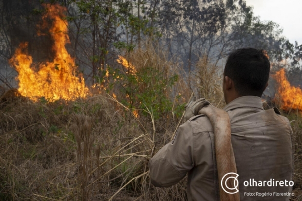 Perodo proibitivo de queimadas  antecipado em Mato Grosso por conta da pandemia