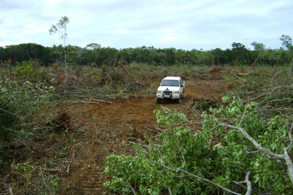 Incra toma rea privada de idoso para fazer assentamento da reforma agrria no Norto de Mato Grosso