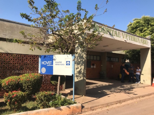 Aluna residente do Hospital Veterinrio da UFMT denuncia professora por agresso
