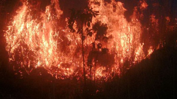 Incndio ameaa atingir rea do Parque de Chapada dos Guimares; bombeiros e brigadistas trabalham