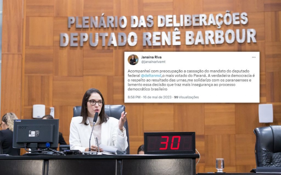 Janaina lamenta cassao de Deltan, enquadrado na Lei da Ficha Limpa: insegurana ao processo democrtico