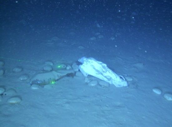 Estudo mostra que o solo dos oceanos est repleto de lixo de vrios tipos, inclusive latinhas de cerveja