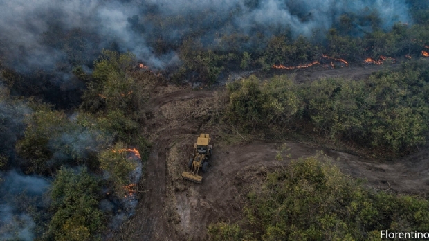 Seca no Pantanal deve continuar pelos prximos cinco anos, diz secretrio da Defesa Civil