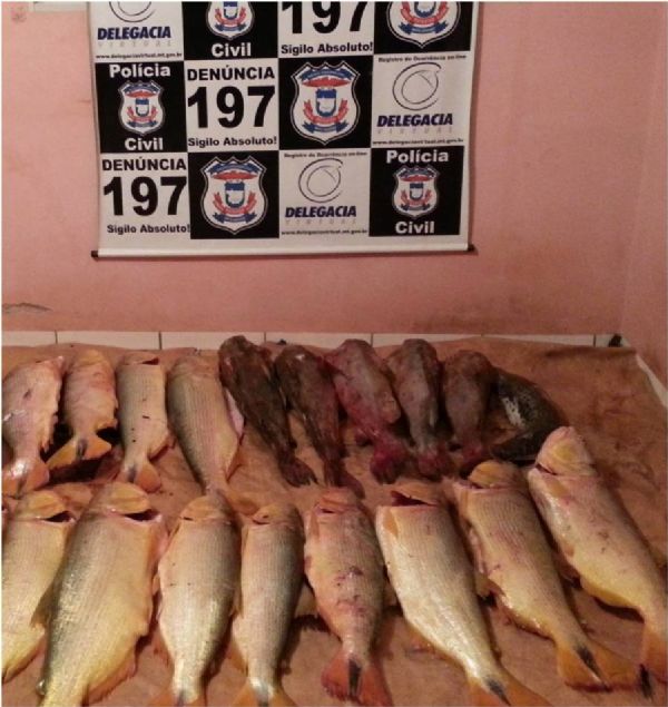 Homem  detido com mais de 100 quilos de pescado ilegal