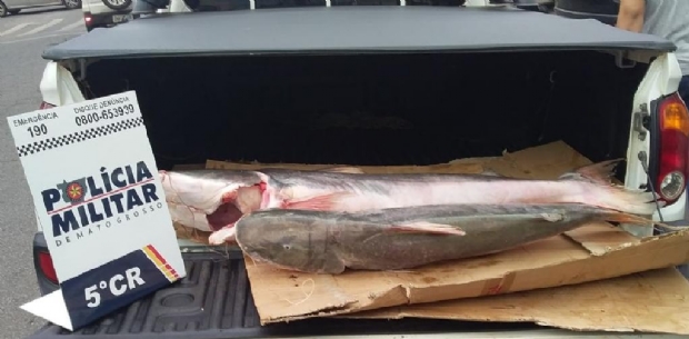 Polcia apreende 28 kg de peixe ameaado de extino