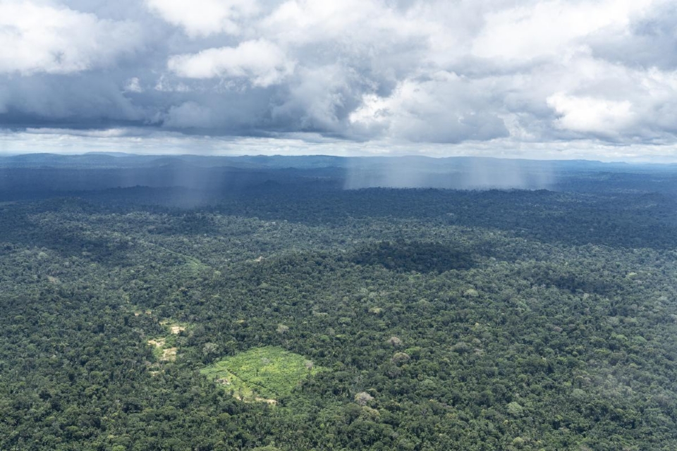 Desmatamento no Xingu diminui no primeiro semestre do ano; queda em MT  menor que no Par