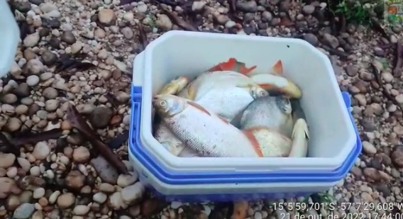 Trs homens so presos com 21 peixes por pesca predatria em perodo de piracema