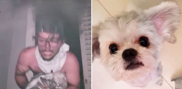 Publicitrio salva cachorrinha de incndio provocado por exploso de ar-condicionado; veja vdeos e fotos