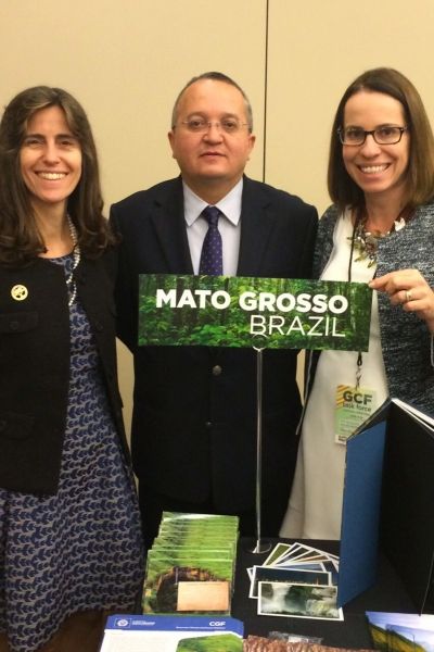 Mato Grosso garante US$ 1 milho para combate ao desmatamento