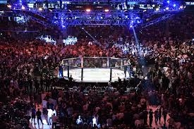Prognsticos e previses para o UFC 2020