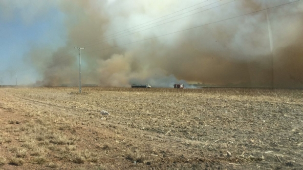 Incndio destri 300 hectares de lavoura s margens de rodovia