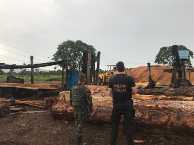 Polcia Federal flagra extrao ilegal de madeira em terras indgenas