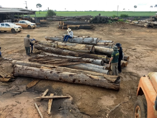 Sema apreende maior carga de madeira protegida por lei e aplica multa de R$ 3 milhes