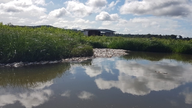 Governo suspende licena de operao de usina responsvel por morte de peixes no Rio Teles Pires