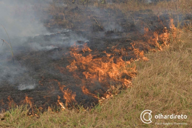 Fogo atinge regio do Distrito Industrial e contribui para fumaa em Cuiab