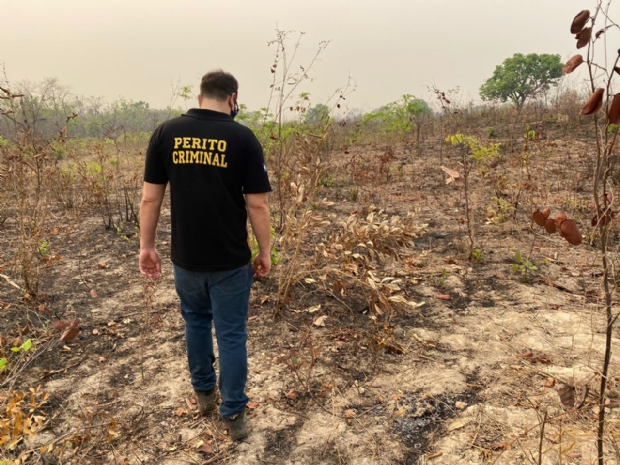 Percia criminal est no Pantanal para identificar origens dos incndios