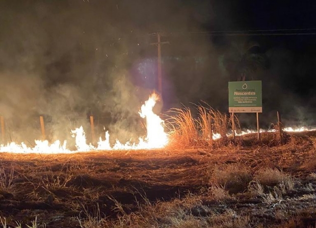 Produtora rural flagra incndio em fazenda supostamente provocado por poste de energia; veja fotos e vdeos