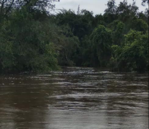 Em ao prpria, indgenas cobram indenizao de R$ 27 milhes de usina por poluio em rio que abastecia comunidade