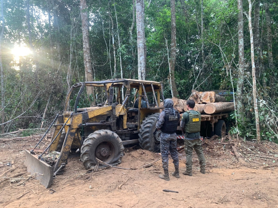 Operao desmobiliza extrao ilegal de madeira na Estao Ecolgica Rio Ronuro