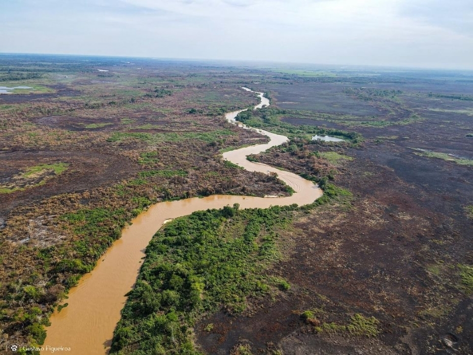 Chuva auxilia combate a incêndios no Pantanal; bombeiros utilizam aviões e embarcações