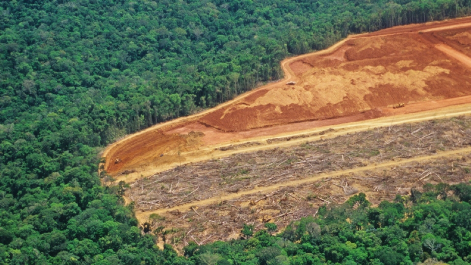 s vsperas da COP-28, dados mostram crescimento do desmatamento em Mato Grosso