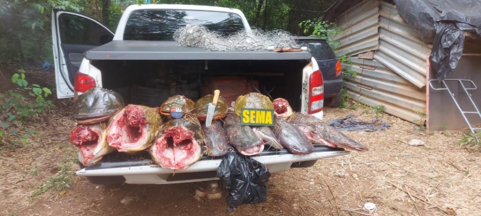 Sema-MT e PM apreenderam 118 kg de pescado ilegal em Cuiab