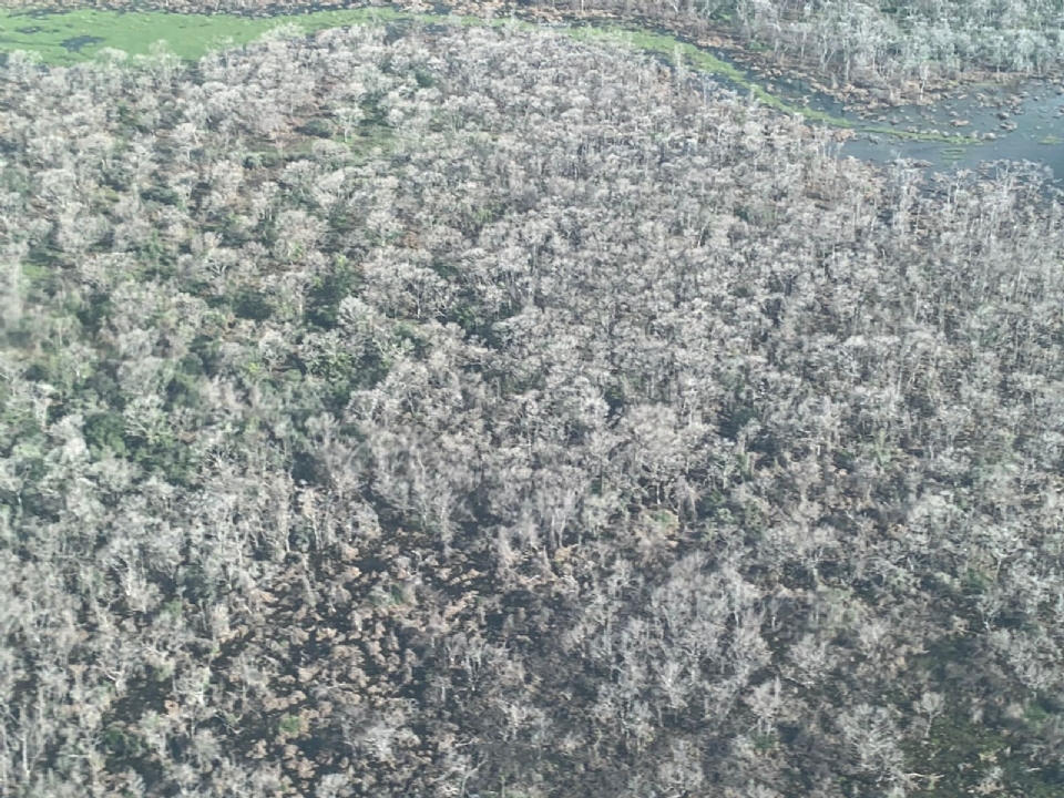 Fazendeiro que desmatou mais de 80 mil hectares do Pantanal fica em silncio durante depoimento